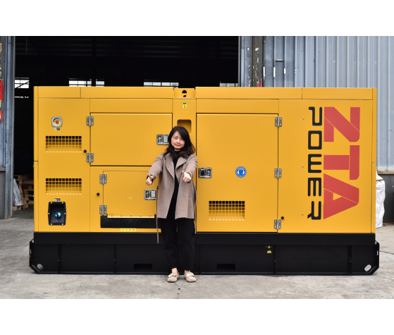 เครื่องกำเนิดไฟฟ้าดีเซล ZTA Power 250kva SDEC