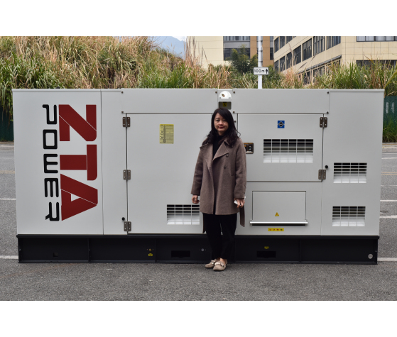 เครื่องกำเนิดไฟฟ้าดีเซล Cummins ZTA POWER 250KVA